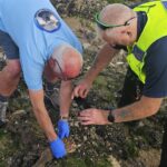 ‘Human hand’ found on beach sparks police response – but all is not as it seems