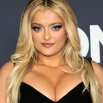 Bebe Rexha says airport worker ‘threatened’ and ‘mentally abused’ her for being Albanian