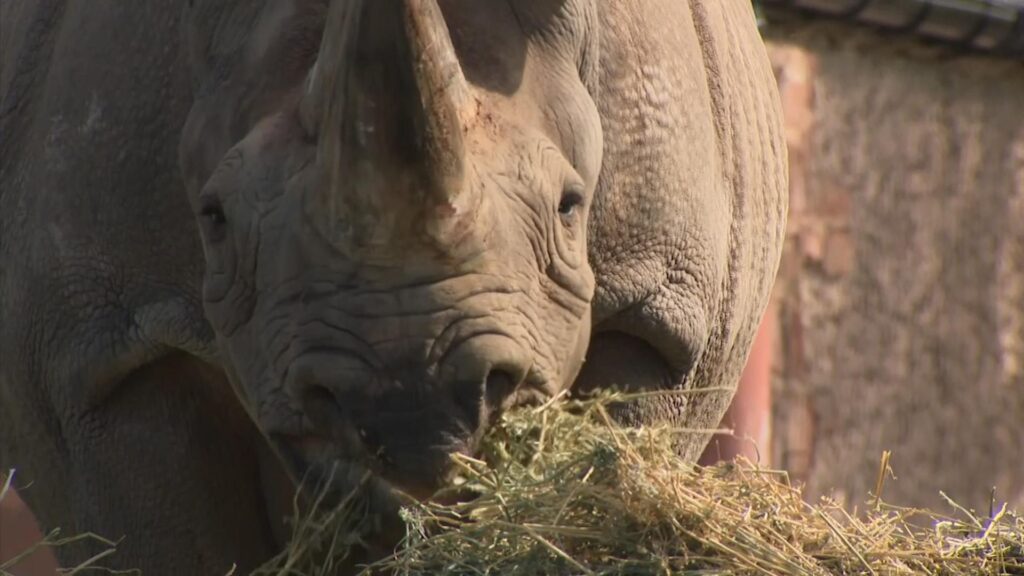 Chester Zoo sets ambitious net zero targets – with help of new green technology