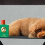 Dolce & Gabbana launches dog perfume named after founder’s pet