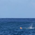 Whale ‘photobombs’ Olympic surfing semi-final