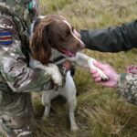 Military dogs save ‘hundreds’ of lives in Ukraine war