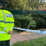 Teenager arrested on suspicion of murder after three people die in flat