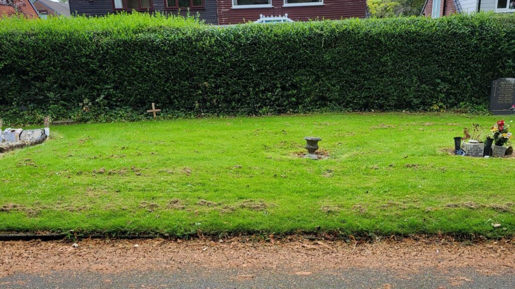 More than 300 bodies found in Oldham mass grave – most belonging to babies and children