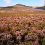 Public urged to help buy England’s highest nature reserve