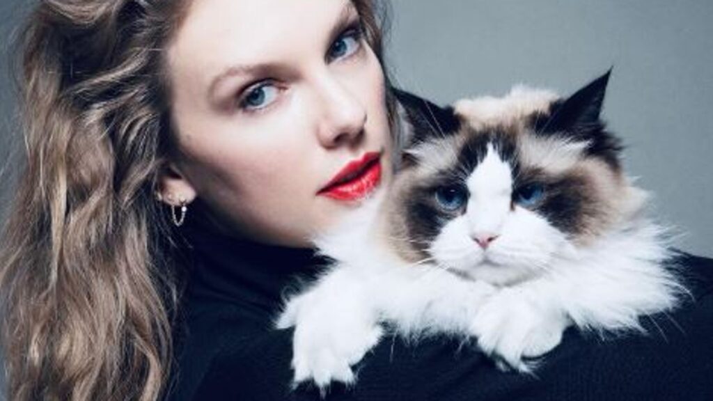 ‘Childless cat lady’ Taylor Swift endorses Kamala Harris after Trump debate