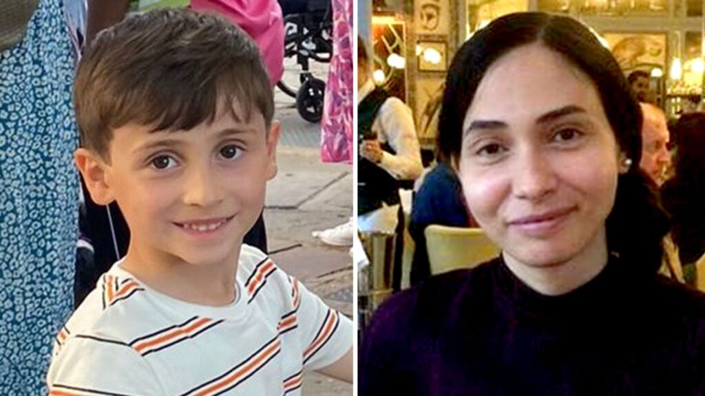 ‘Increasing concern’ for mother and son missing since June