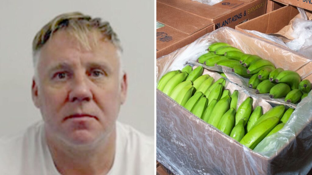 One of UK’s most wanted men jailed over plot to smuggle cocaine ‘worth £100m’ in banana boxes