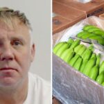 One of UK’s most wanted men jailed over plot to smuggle cocaine ‘worth £100m’ in banana boxes