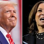 ‘I’m the father of IVF’, Trump tells all-female audience: ‘Bizarre’, says Harris