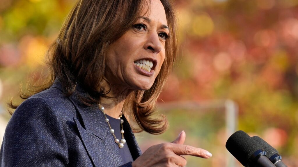 Kamala Harris risked a lot for combative Fox News interview – it may not have paid off