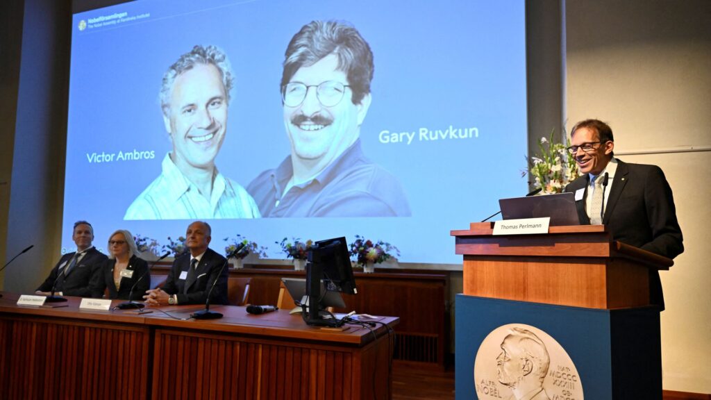 Nobel Prize goes to scientists for ‘groundbreaking’ microRNA research