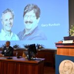 Nobel Prize goes to scientists for ‘groundbreaking’ microRNA research