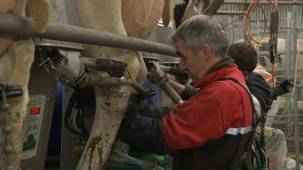 Farmers fears new inheritance tax rules will rob their children of legacy – but expert disagrees