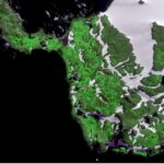 Scientists ‘shocked’ at how quickly parts of Antarctica are turning green