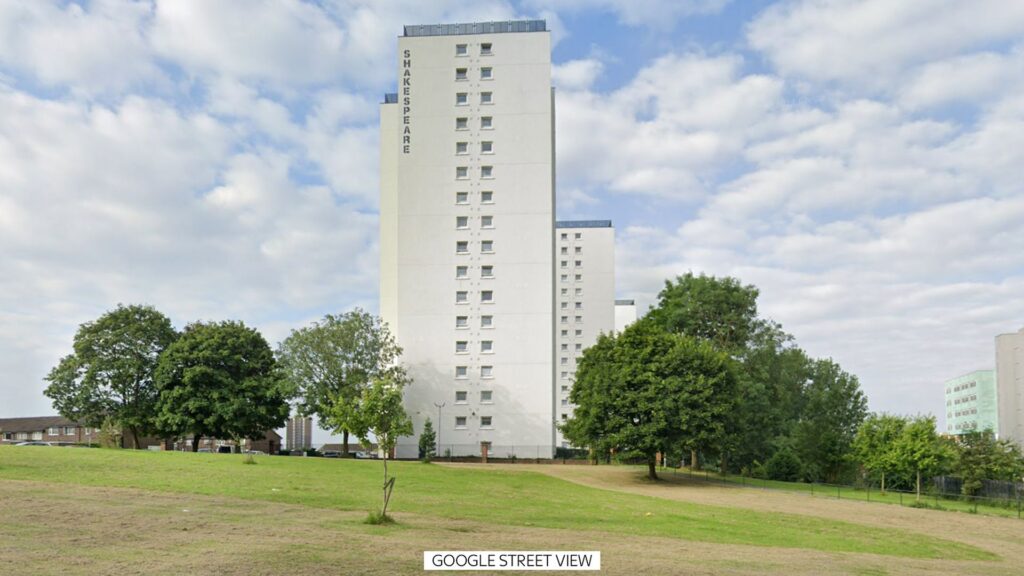 Baby born after mother dies in tower block fall