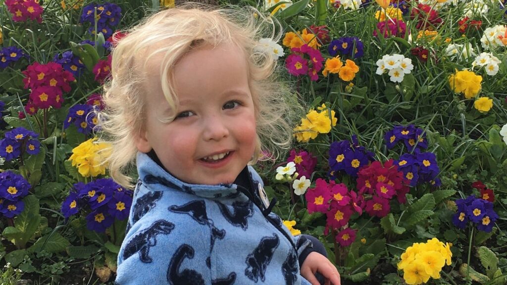 Death of boy, 3, could have been avoided as woman, 91, ‘should not have been allowed to drive’