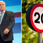 Welsh Tory leader broke parliamentary rules over post on 20mph speed limit