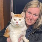 Missing cat found after 300-mile journey to Coventry