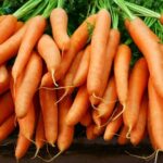 One person dead and dozens ill after eating contaminated carrots