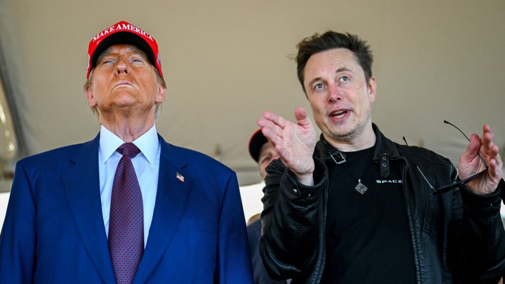 ‘I wouldn’t call it eugenics as such’: How Musk might influence Trump policy