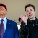 ‘I wouldn’t call it eugenics as such’: How Musk might influence Trump policy