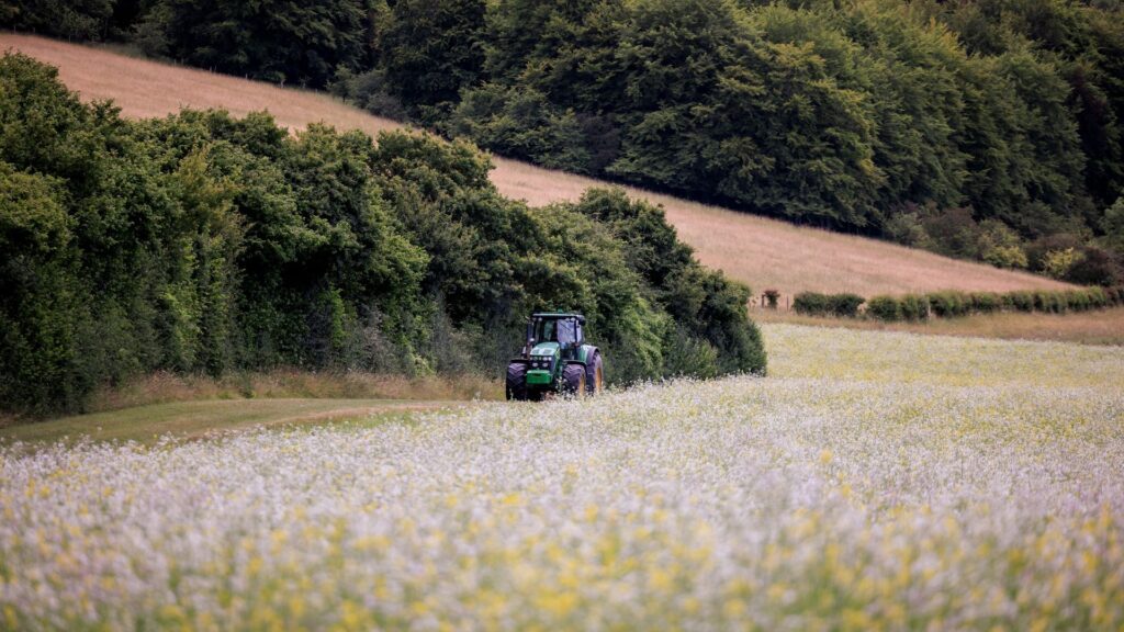 Farmers’ inheritance tax could affect five times more farms than Treasury said, analysis finds