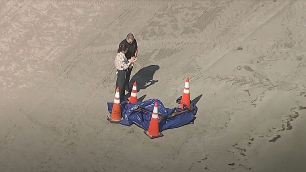 Human head washes up on Florida beach