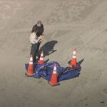 Human head washes up on Florida beach