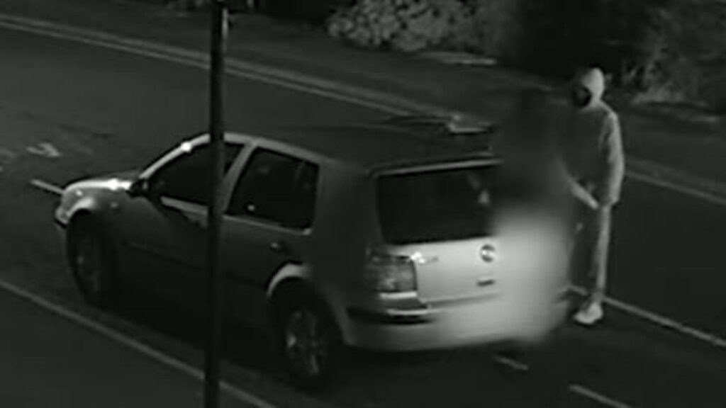 CCTV shows predator lure victim into car – with friends rescuing her when she shares location