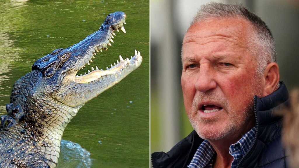 England cricket legend falls into crocodile-infested waters