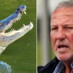 England cricket legend falls into crocodile-infested waters