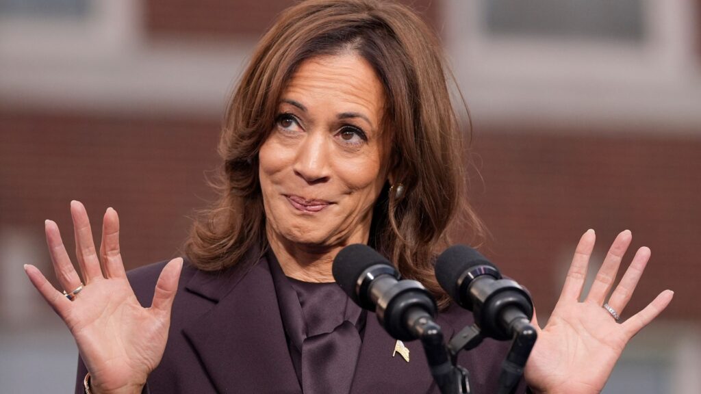 The Democratic Party blame game has already begun after Kamala Harris’s loss