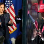 Trump and Harris prepare final pitch to US voters after blitzing battleground states