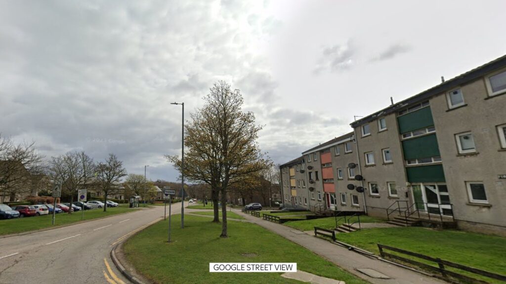 Woman killed in dog attack at flat