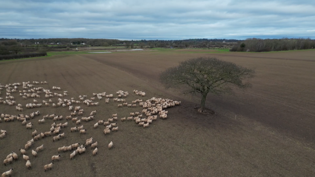 In a time of change Sky News spent a critical year on a farm – find out what we learnt