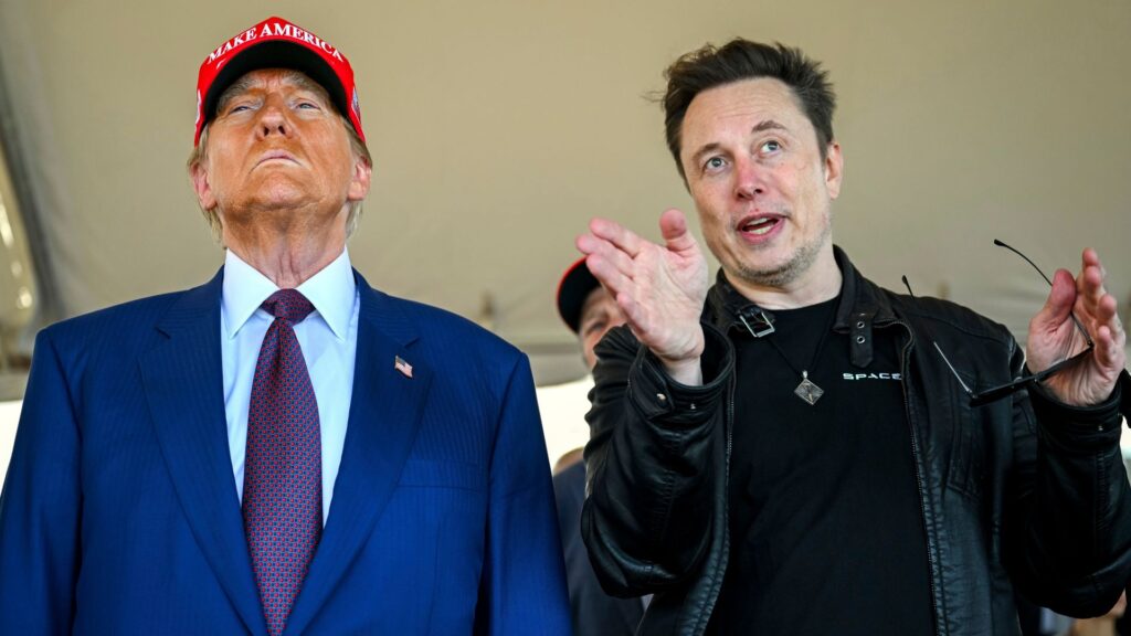 Musk spent more than quarter of a billion dollars helping Trump win US election