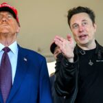 Musk spent more than quarter of a billion dollars helping Trump win US election