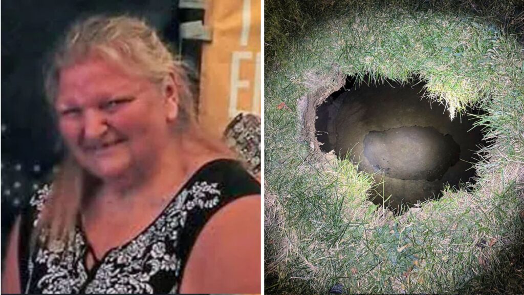 Grandmother ‘may have fallen into sinkhole’ while trying to find her cat