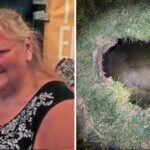 Grandmother ‘may have fallen into sinkhole’ while trying to find her cat