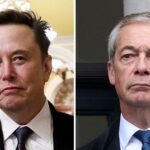 Tory co-chair accuses Elon Musk of trying to ‘buy’ Reform UK