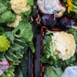 Charities to get £15m fund to use surplus or unwanted food from farms