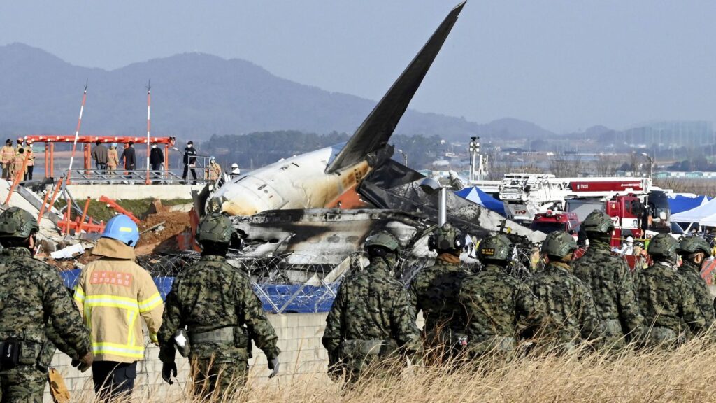 Pilot reported bird strike and declared mayday before South Korea plane crash