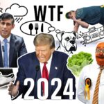 2024’s funniest and most WTF moments