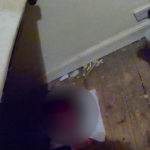 Suspected burglar found hiding under bed, police bodycam footage shows