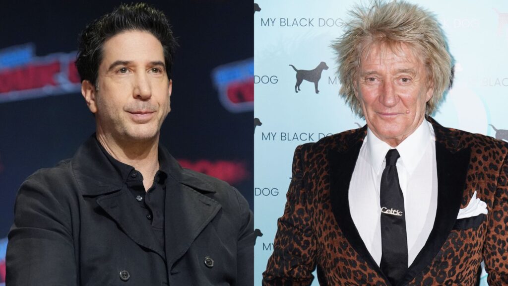 David Schwimmer says he once served divorce papers on Sir Rod Stewart