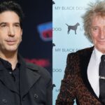 David Schwimmer says he once served divorce papers on Sir Rod Stewart