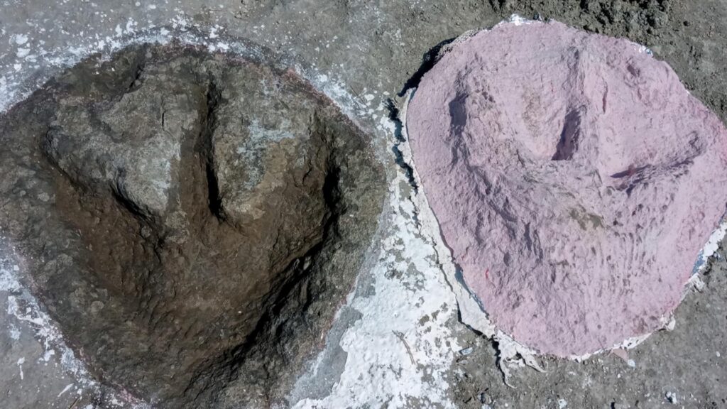 Hundreds of dinosaur footprints discovered from in Oxfordshire