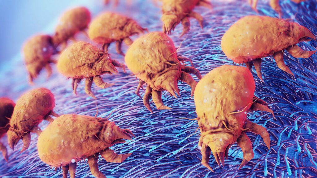 ‘Life-changing’ treatment could help thousands of people with severe dust mite allergy