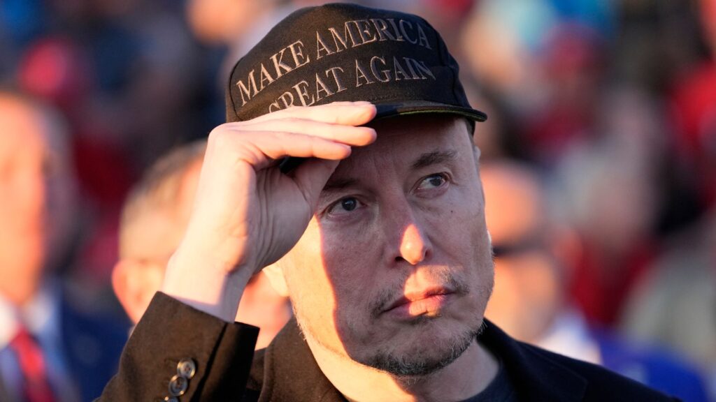 Elon Musk’s AfD broadcast cleared up any doubts over his attitude to Germany’s far right